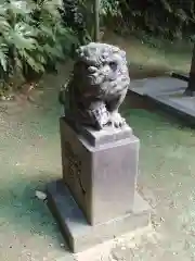 富岡八幡宮の狛犬