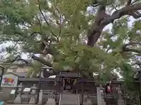 三島神社のその他建物