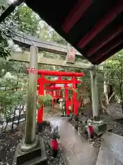 大杉神社の鳥居