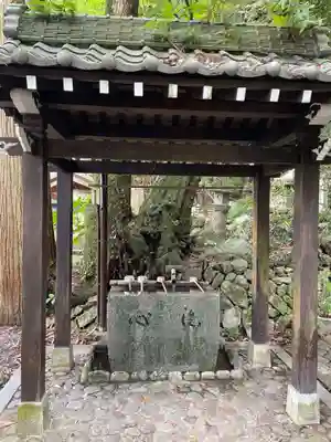 お松大権現(徳島県)