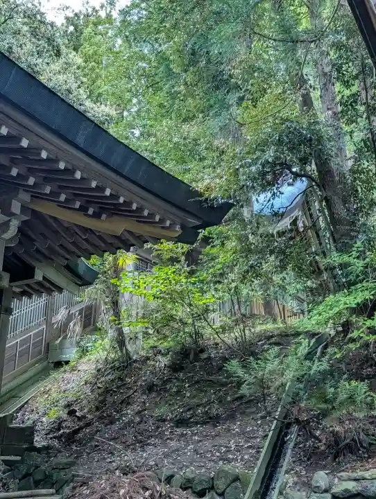 度津神社の{uncategorized: "未分類", other: "その他", undefined: "問題あり", building: "その他建物", grave: "お墓", sacred_gate: "鳥居", guardian: "狛犬", statue: "像", buddha: "仏像", history: "歴史", nature: "自然", garden: "庭園", animal: "動物", pagoda: "塔", temizu: "手水舎", mountain_gate: "山門・神門", sanctuary: "本殿・本堂", subordinate: "末社・摂社", art: "芸術", scenery: "景色", jizo: "地蔵", ema: "絵馬", goshuin: "御朱印", omikuji: "おみくじ", items: "授与品その他", amulet: "お守り", goshuincho: "御朱印帳", eats: "食事", festival: "お祭り", votive_dance: "神楽", shichigosan: "七五三参", wedding: "結婚式", experience: "体験その他", initially: "初詣", around: "周辺", anti_infection: "感染症対策"}
