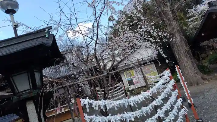 平野神社(京都府)