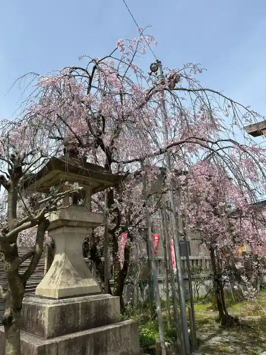 越中稲荷神社の{uncategorized: "未分類", other: "その他", undefined: "問題あり", building: "その他建物", grave: "お墓", sacred_gate: "鳥居", guardian: "狛犬", statue: "像", buddha: "仏像", history: "歴史", nature: "自然", garden: "庭園", animal: "動物", pagoda: "塔", temizu: "手水舎", mountain_gate: "山門・神門", sanctuary: "本殿・本堂", subordinate: "末社・摂社", art: "芸術", scenery: "景色", jizo: "地蔵", ema: "絵馬", goshuin: "御朱印", omikuji: "おみくじ", items: "授与品その他", amulet: "お守り", goshuincho: "御朱印帳", eats: "食事", festival: "お祭り", votive_dance: "神楽", shichigosan: "七五三参", wedding: "結婚式", experience: "体験その他", initially: "初詣", around: "周辺", anti_infection: "感染症対策"}