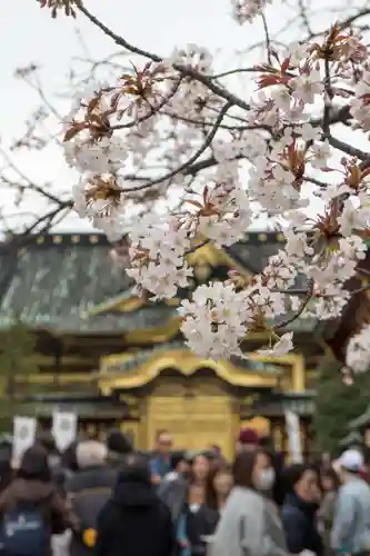 上野東照宮の自然