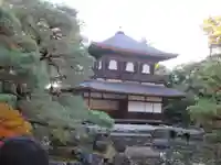 慈照寺(慈照禅寺・銀閣寺)(京都府)
