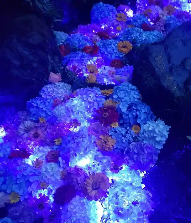 五泉八幡宮(新潟県)