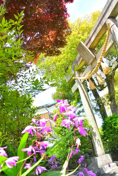 横浜御嶽神社(神奈川県)