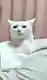 まみ