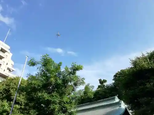 白金氷川神社の自然