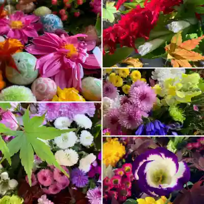 滑川神社 - 仕事と子どもの守り神の手水舎