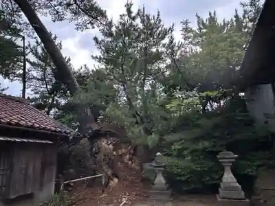 荒砂神社(鳥取県)