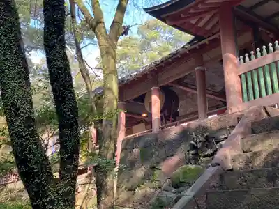 柞原八幡宮(大分県)
