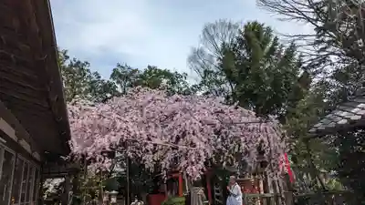 水火天満宮(京都府)