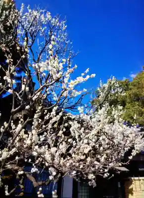 福蔵院(東京都)