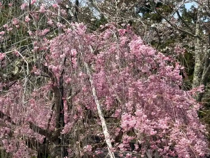 高野山金剛峯寺奥の院(和歌山県)