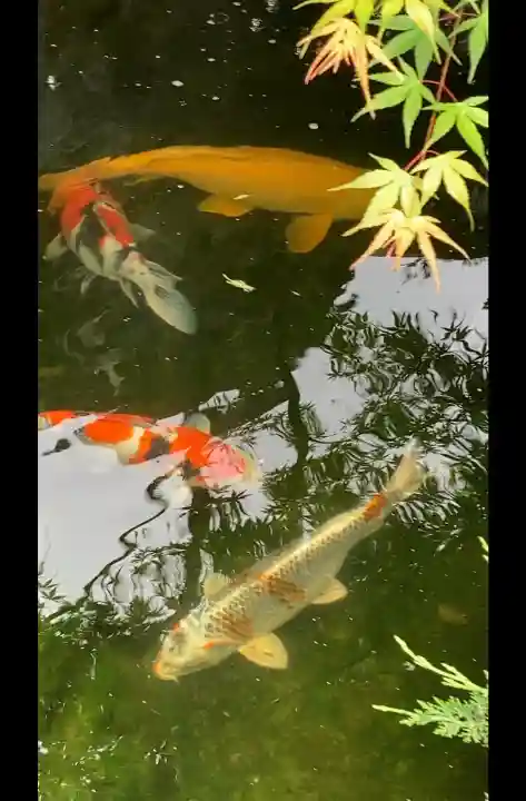蛇窪神社の{uncategorized: "未分類", other: "その他", undefined: "問題あり", building: "その他建物", grave: "お墓", sacred_gate: "鳥居", guardian: "狛犬", statue: "像", buddha: "仏像", history: "歴史", nature: "自然", garden: "庭園", animal: "動物", pagoda: "塔", temizu: "手水舎", mountain_gate: "山門・神門", sanctuary: "本殿・本堂", subordinate: "末社・摂社", art: "芸術", scenery: "景色", jizo: "地蔵", ema: "絵馬", goshuin: "御朱印", omikuji: "おみくじ", items: "授与品その他", amulet: "お守り", goshuincho: "御朱印帳", eats: "食事", festival: "お祭り", votive_dance: "神楽", shichigosan: "七五三参", wedding: "結婚式", experience: "体験その他", initially: "初詣", around: "周辺", anti_infection: "感染症対策"}