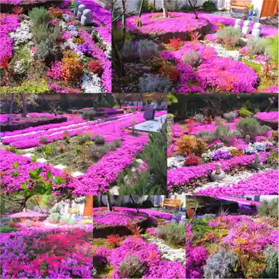 寿量山 速成寺(奈良県)