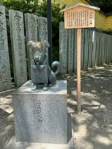 金刀比羅宮の狛犬