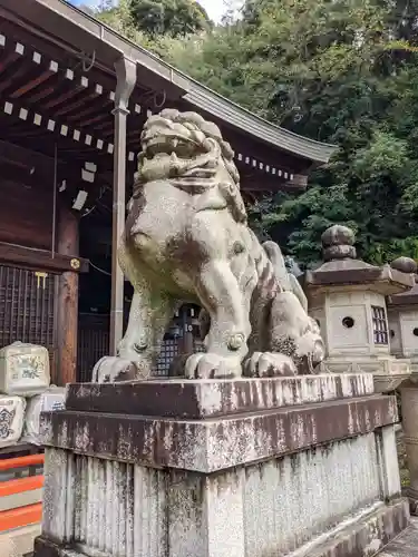 京都霊山護國神社の狛犬