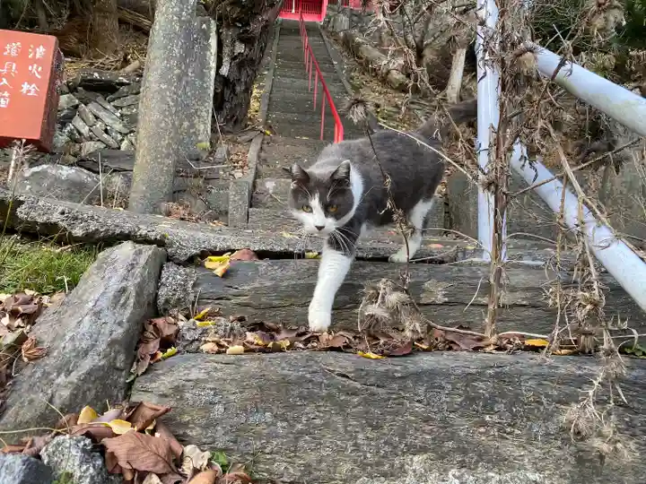 香取伊豆乃御子神社(宮城県)