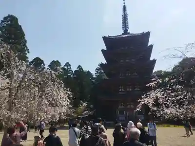 醍醐寺(京都府)