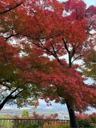 石清水八幡宮(京都府)