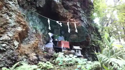 桜松神社の自然