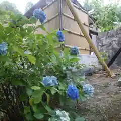 祥雲寺の自然