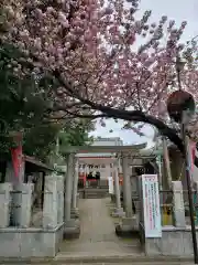 藤神稲荷神社の鳥居