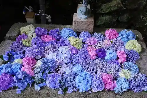 杉山谷不動尊(京都府)