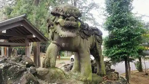 下鶴馬氷川神社の狛犬