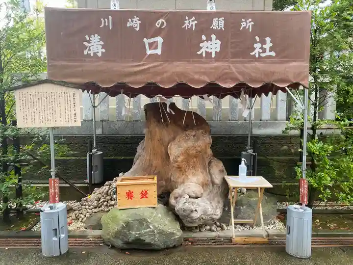 溝口神社(神奈川県)
