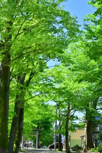 金峯神社(新潟県)