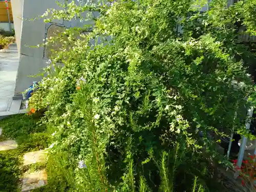 寿量山　速成寺(奈良県)