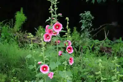 阿久津「田村神社」（郡山市阿久津町）旧社名：伊豆箱根三嶋三社(福島県)