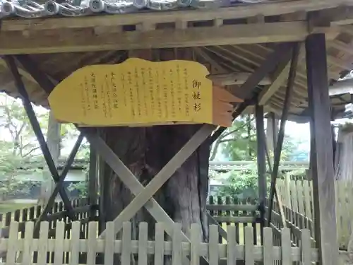 西念寺(茨城県)