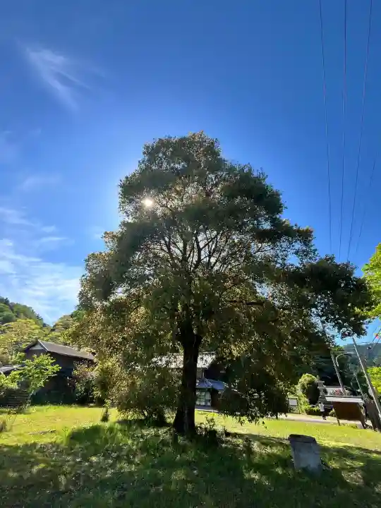 聖光寺の{uncategorized: "未分類", other: "その他", undefined: "問題あり", building: "その他建物", grave: "お墓", sacred_gate: "鳥居", guardian: "狛犬", statue: "像", buddha: "仏像", history: "歴史", nature: "自然", garden: "庭園", animal: "動物", pagoda: "塔", temizu: "手水舎", mountain_gate: "山門・神門", sanctuary: "本殿・本堂", subordinate: "末社・摂社", art: "芸術", scenery: "景色", jizo: "地蔵", ema: "絵馬", goshuin: "御朱印", omikuji: "おみくじ", items: "授与品その他", amulet: "お守り", goshuincho: "御朱印帳", eats: "食事", festival: "お祭り", votive_dance: "神楽", shichigosan: "七五三参", wedding: "結婚式", experience: "体験その他", initially: "初詣", around: "周辺", anti_infection: "感染症対策"}
