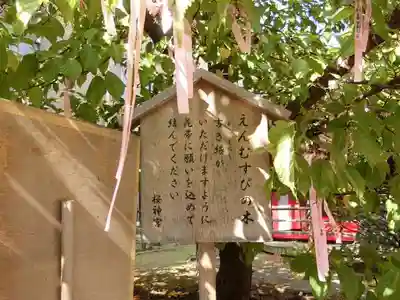 桜神宮の歴史