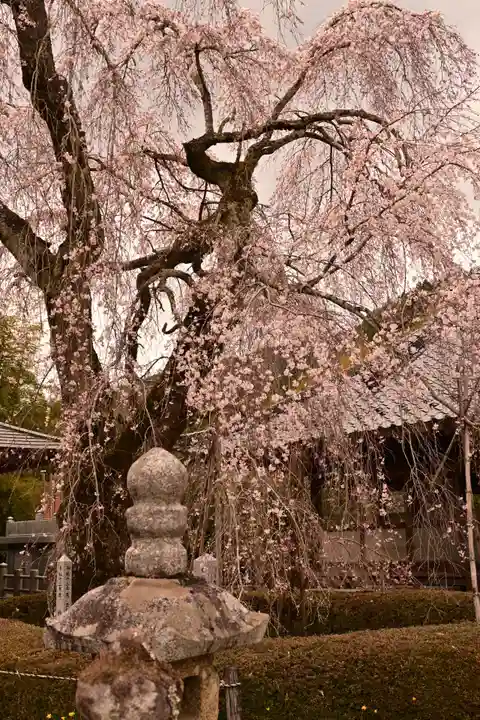 法蓮寺(愛媛県)