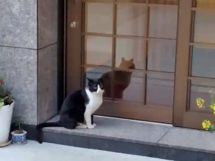 小野八幡神社の動物