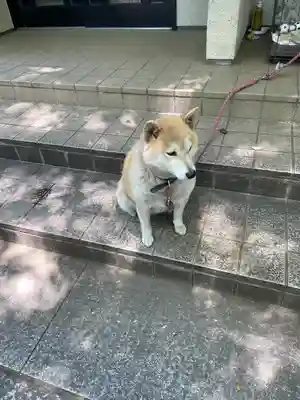 笠䅣稲荷神社(神奈川県)