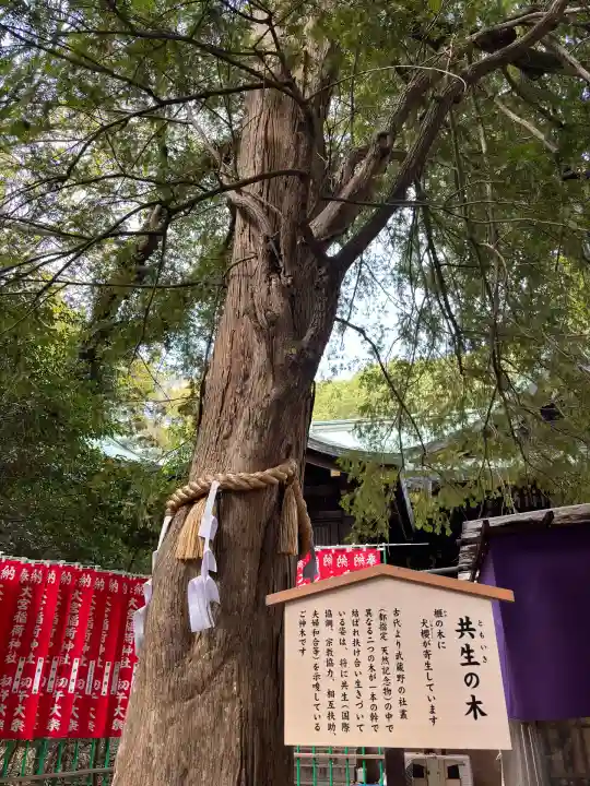 大宮八幡宮(東京都)