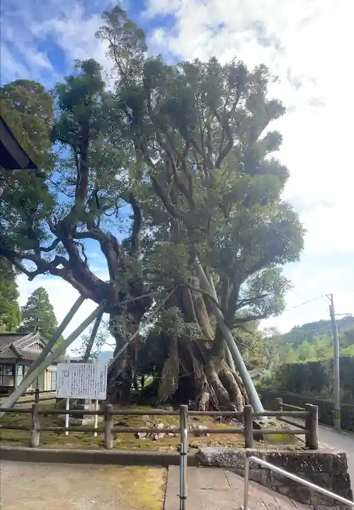 飯倉神社(鹿児島県)
