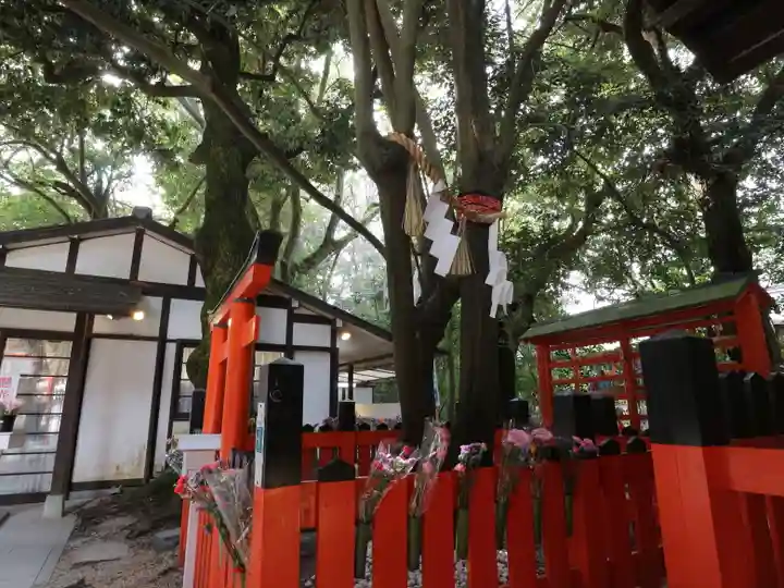 賀茂御祖神社(下鴨神社)の自然