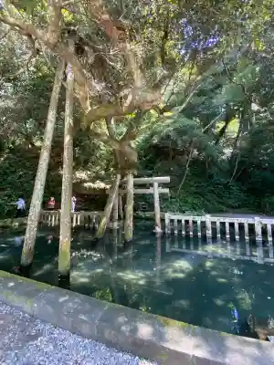 鹿島神宮(茨城県)