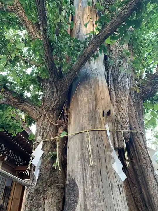 大鳥神社の自然