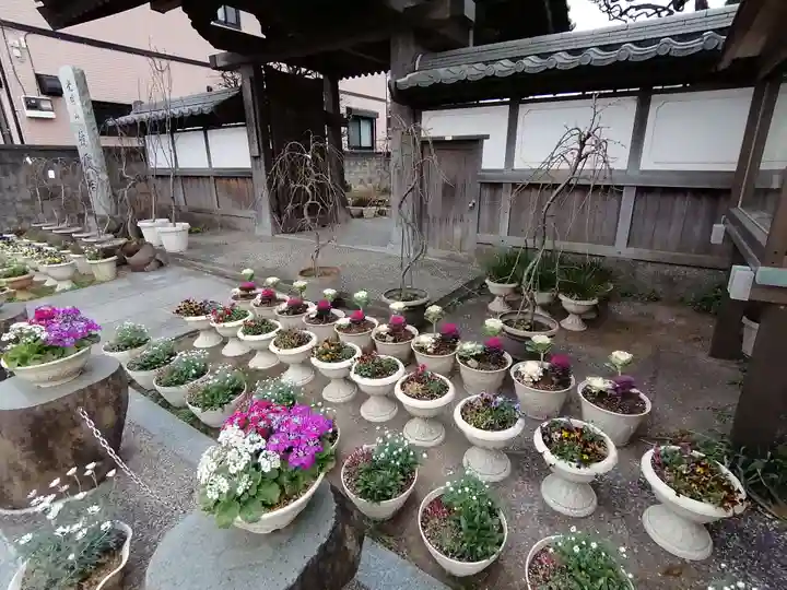 鏡円寺のその他建物