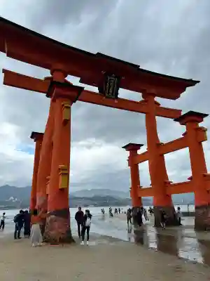厳島神社の{uncategorized: "未分類", other: "その他", undefined: "問題あり", building: "その他建物", grave: "お墓", sacred_gate: "鳥居", guardian: "狛犬", statue: "像", buddha: "仏像", history: "歴史", nature: "自然", garden: "庭園", animal: "動物", pagoda: "塔", temizu: "手水舎", mountain_gate: "山門・神門", sanctuary: "本殿・本堂", subordinate: "末社・摂社", art: "芸術", scenery: "景色", jizo: "地蔵", ema: "絵馬", goshuin: "御朱印", omikuji: "おみくじ", items: "授与品その他", amulet: "お守り", goshuincho: "御朱印帳", eats: "食事", festival: "お祭り", votive_dance: "神楽", shichigosan: "七五三参", wedding: "結婚式", experience: "体験その他", initially: "初詣", around: "周辺", anti_infection: "感染症対策"}