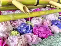 東郷神社(東京都)