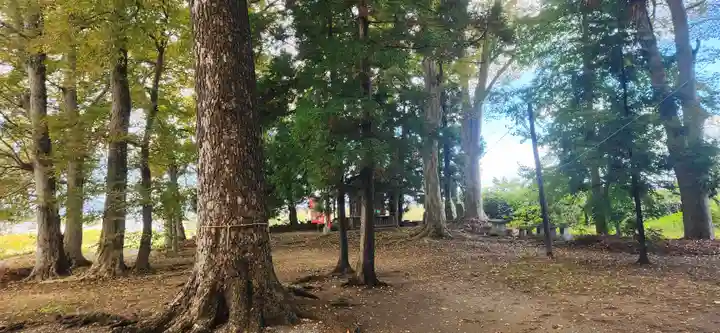十文字天満神社(山形県)